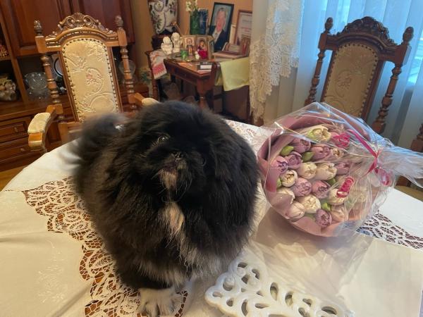 Прикрепленное изображение: о43.jpg